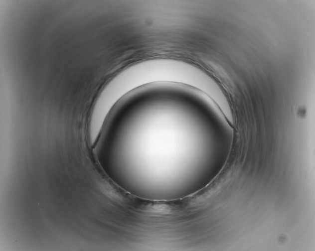 X0000102410409200808152010