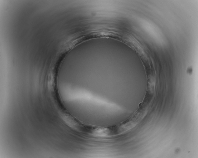 X0000102410410200808152010