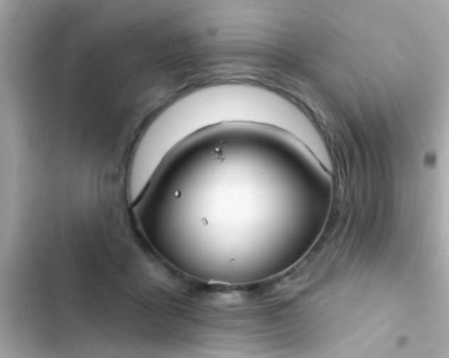 X0000102410411200808152010