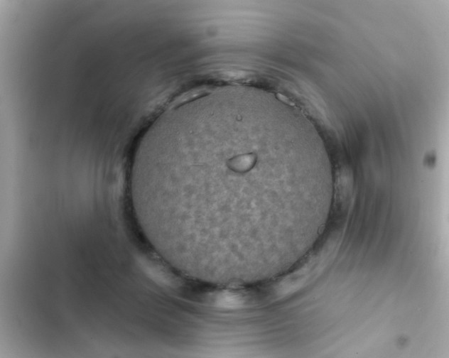 X0000102410412200808152010