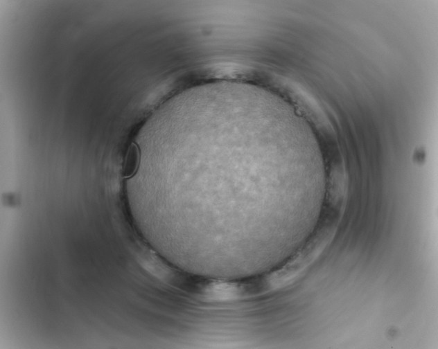 X0000102410413200808152010