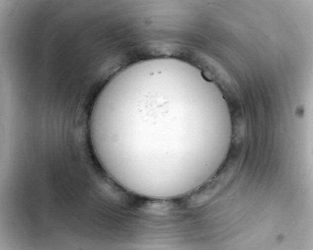 X0000102410414200808152010