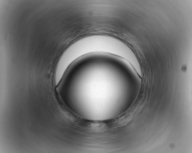 X0000102410415200808152010