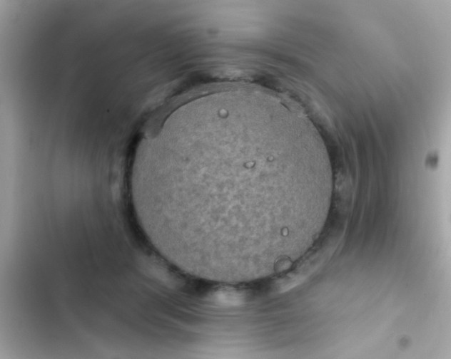 X0000102410416200808152010