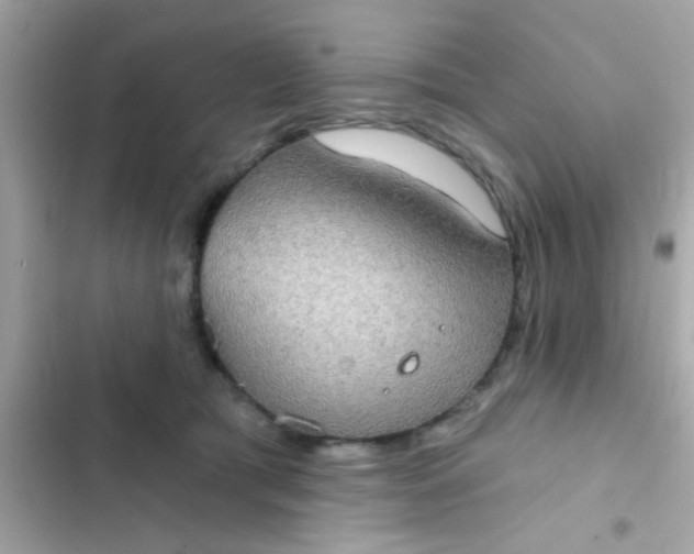 X0000102410417200808152010