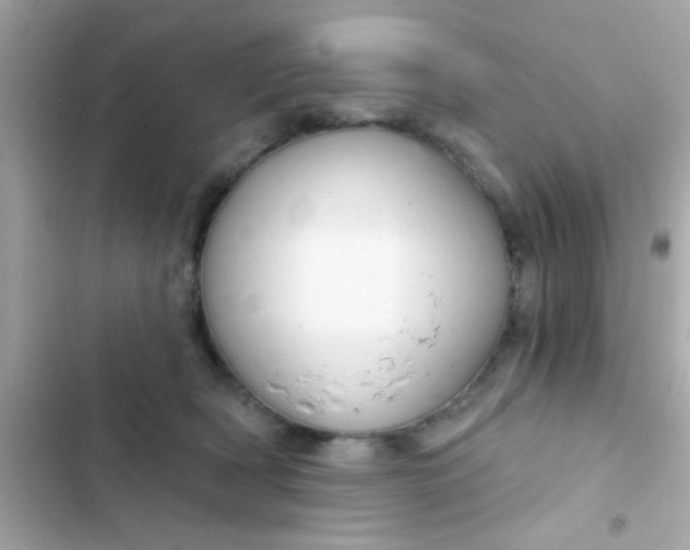 X0000102410418200808152010