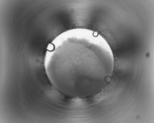 X0000102410419200808152010