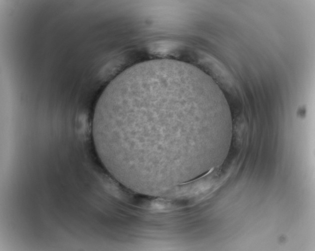 X0000102410420200808152010