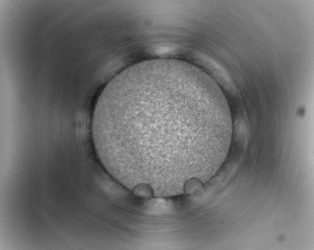 X0000102410421200808152010