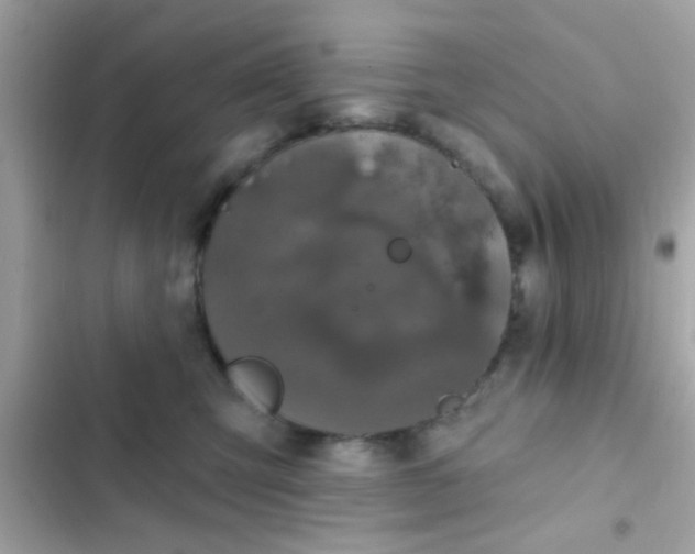 X0000102410423200808152010