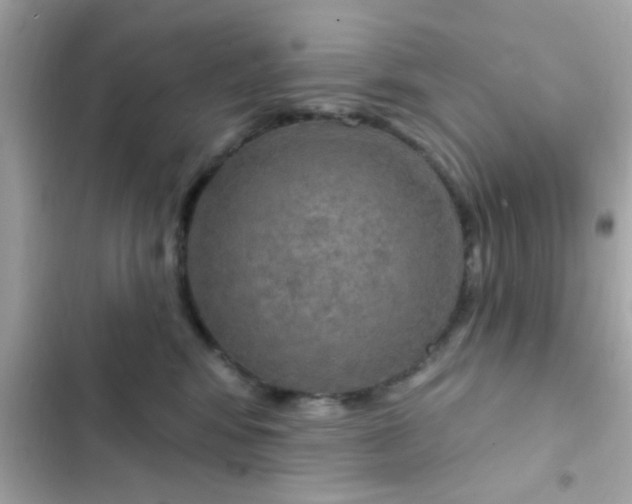 X0000102410424200808152010