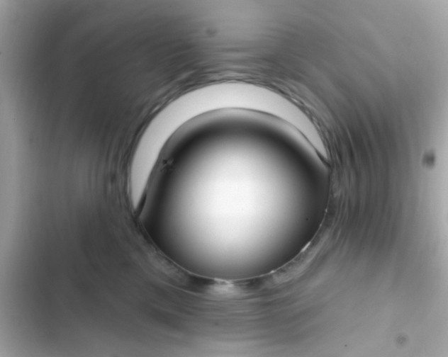 X0000102410425200808152009