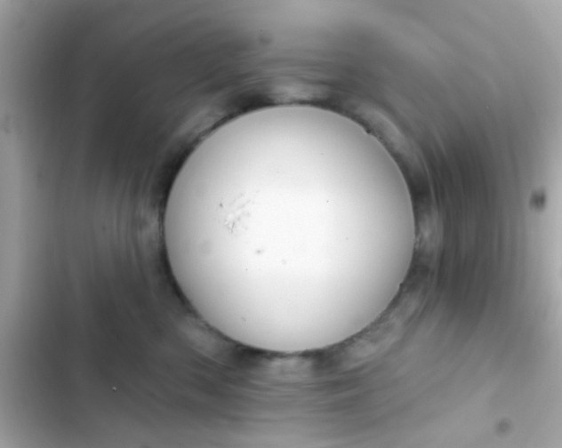 X0000102410426200808152009