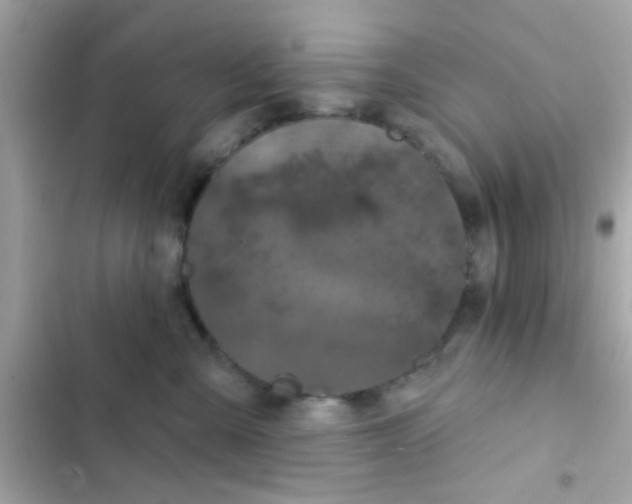 X0000102410427200808152009