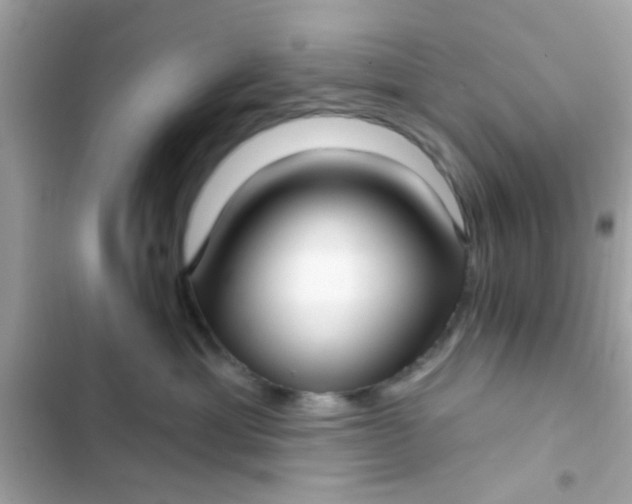 X0000102410429200808152009