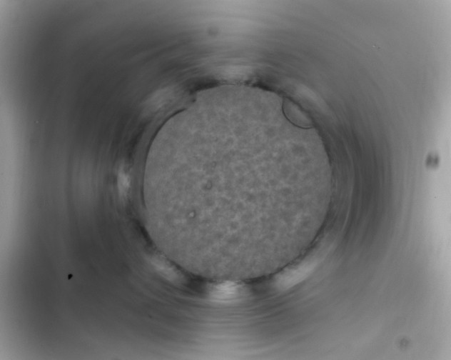 X0000102410432200808152009