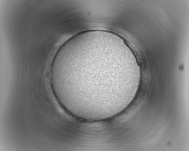 X0000102410433200808152009