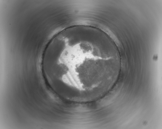 X0000102410434200808152009