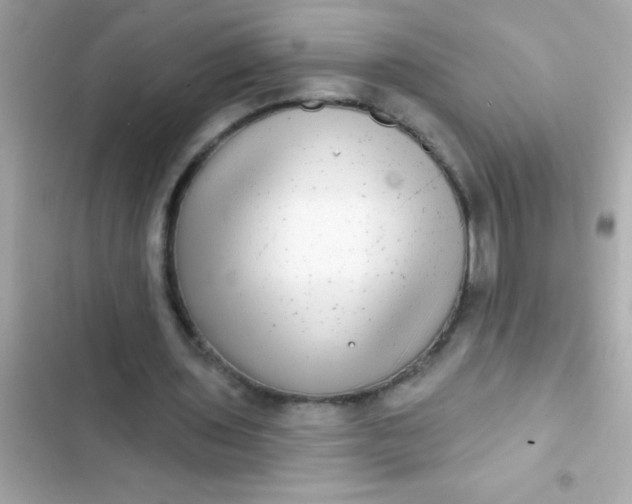 X0000102410435200808152009