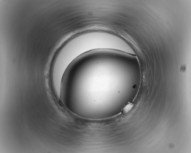 X0000102410436200808152009