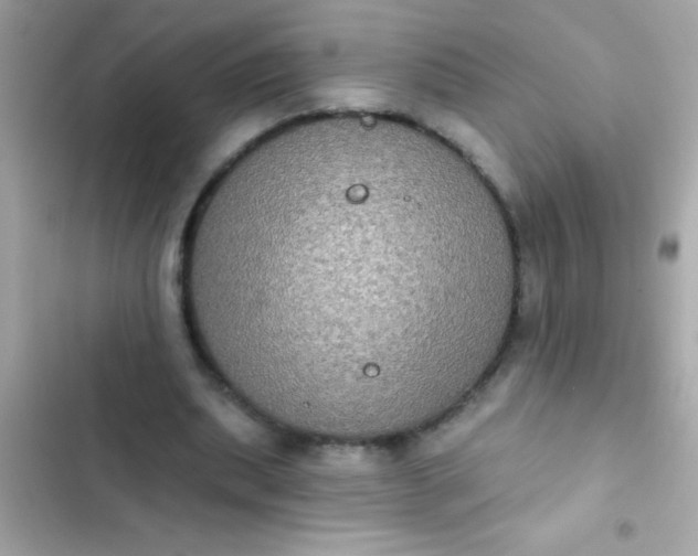 X0000102410439200808152009