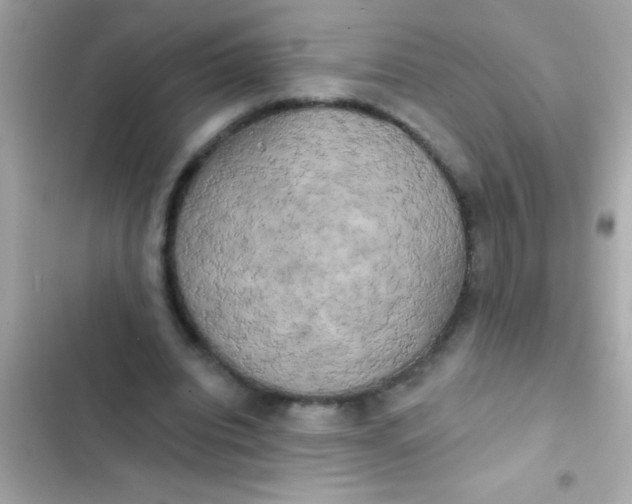 X0000102410440200808152009