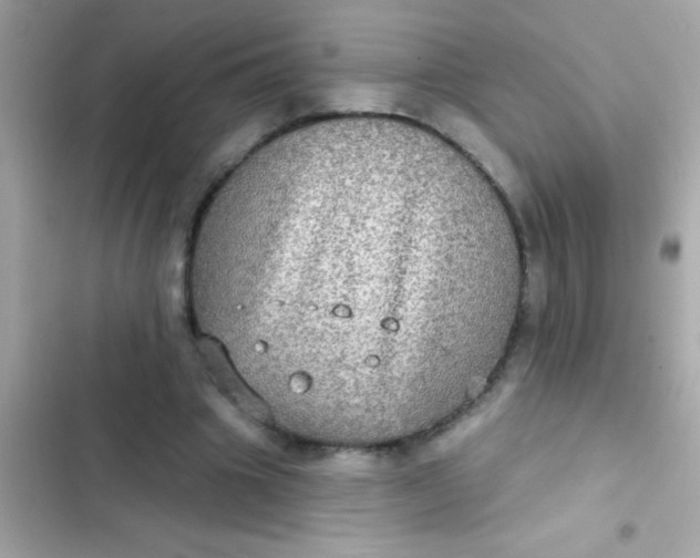 X0000102410441200808152009