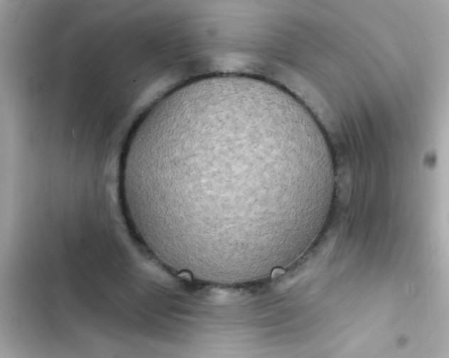 X0000102410442200808152009