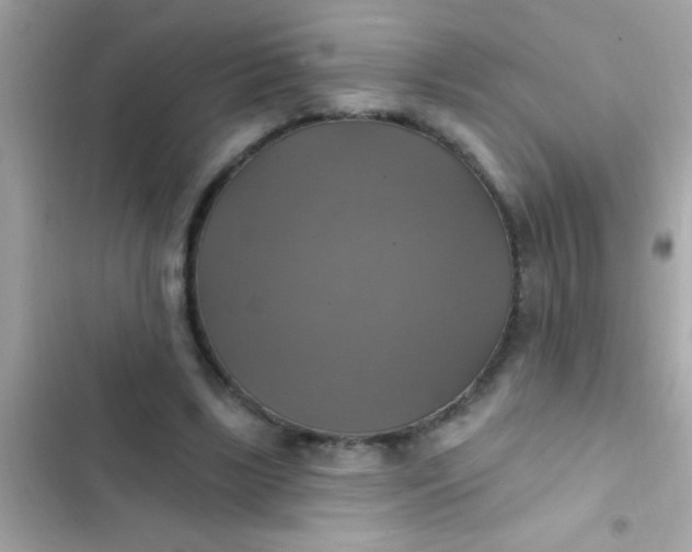 X0000102410443200808152009