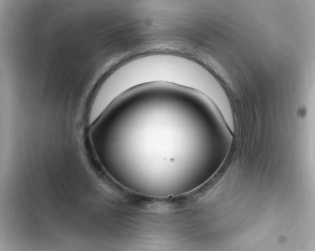 X0000102410444200808152009