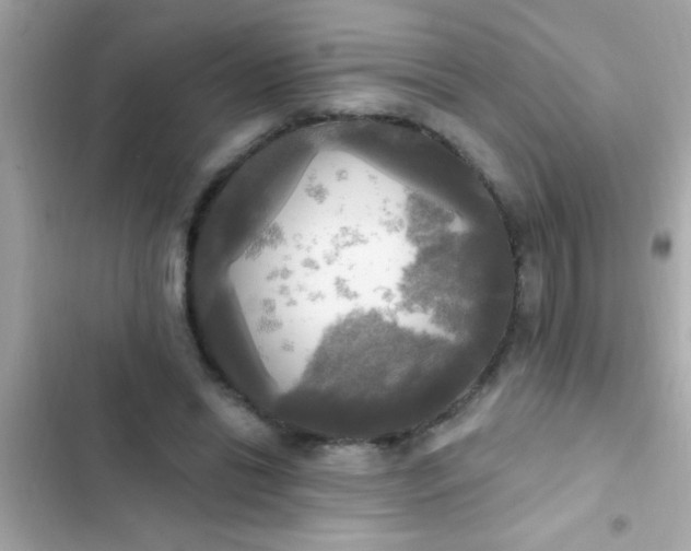 X0000102410446200808152009