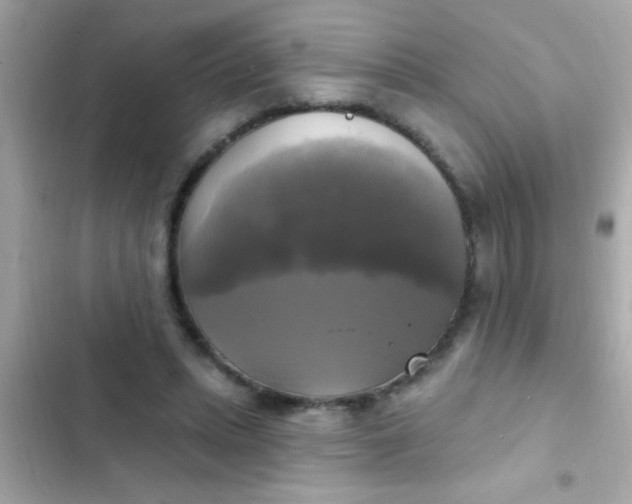 X0000102410447200808152009