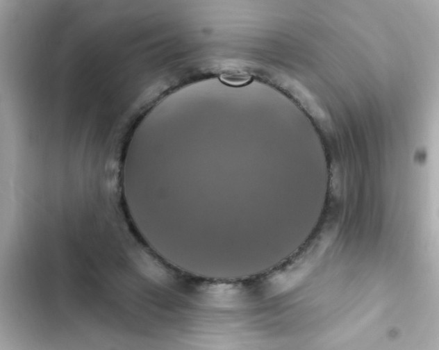 X0000102410449200808152009