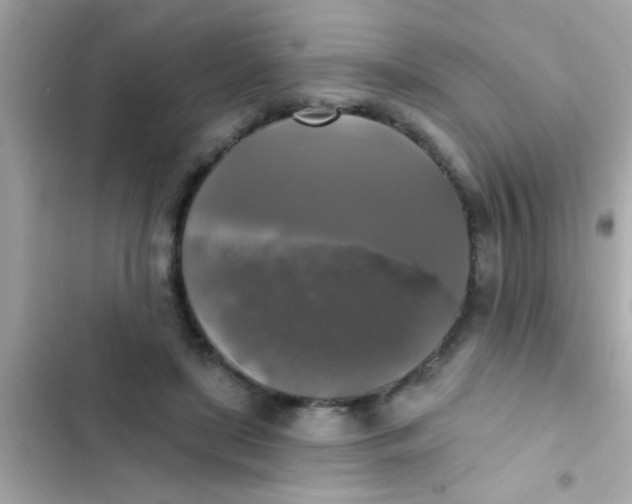 X0000102410451200808152009