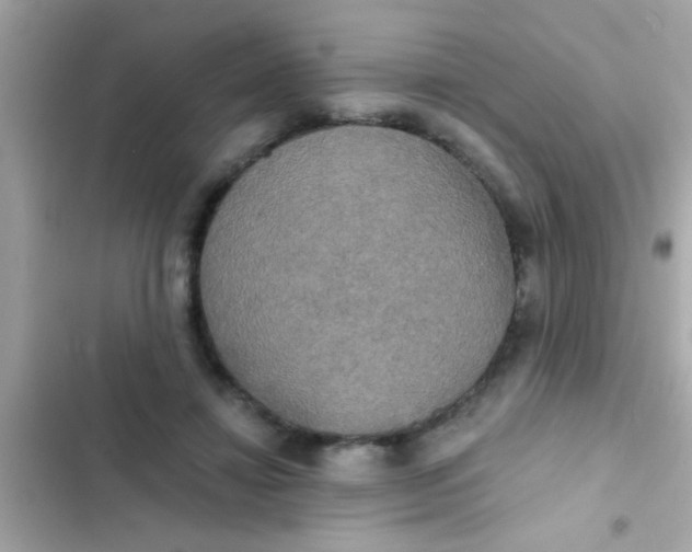 X0000102410452200808152009