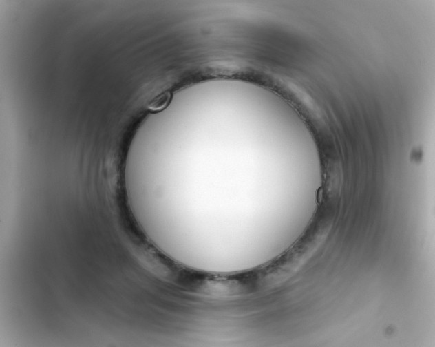 X0000102410455200808152009