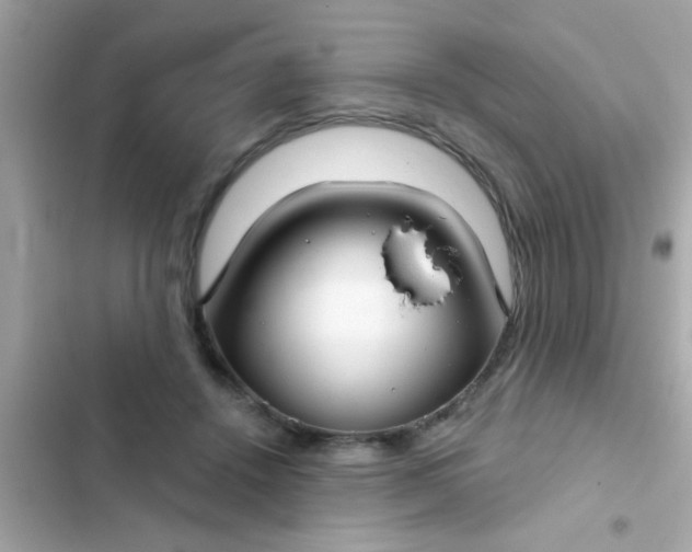 X0000102410456200808152009