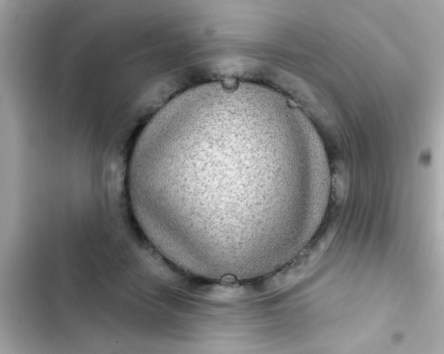 X0000102410458200808152009