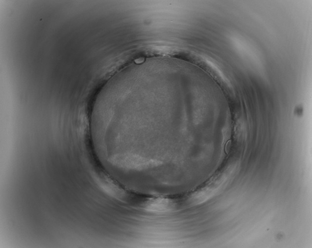 X0000102410459200808152009