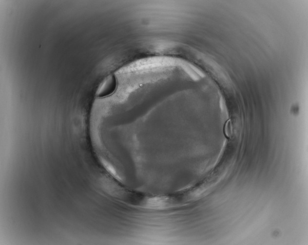 X0000102410461200808152009