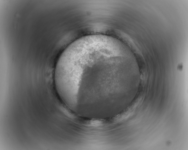 X0000102410462200808152009