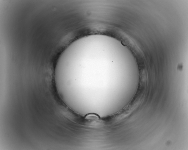 X0000102410463200808152009