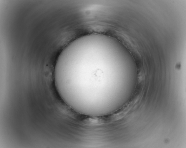 X0000102410464200808152009