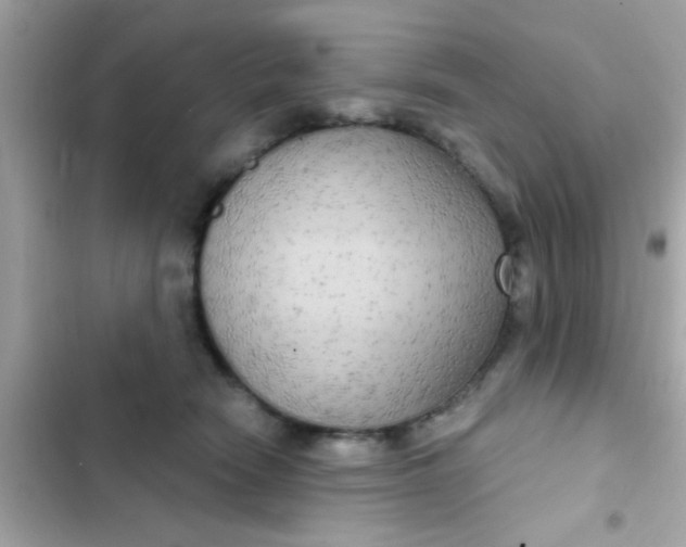 X0000102410466200808152009