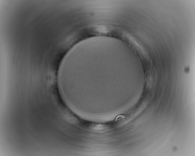 X0000102410467200808152009