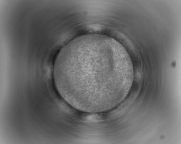 X0000102410468200808152009