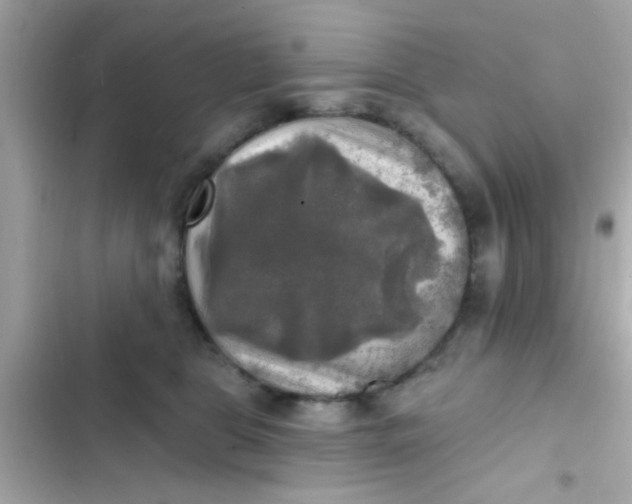 X0000102410469200808152009