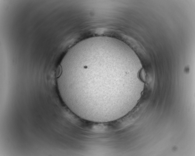 X0000102410470200808152009