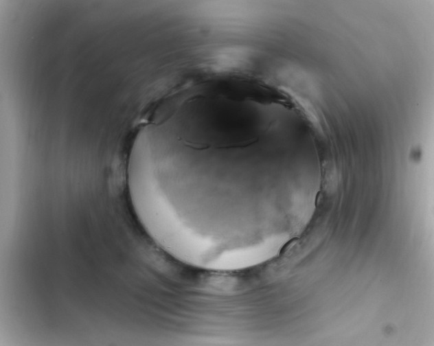 X0000102410471200808152009