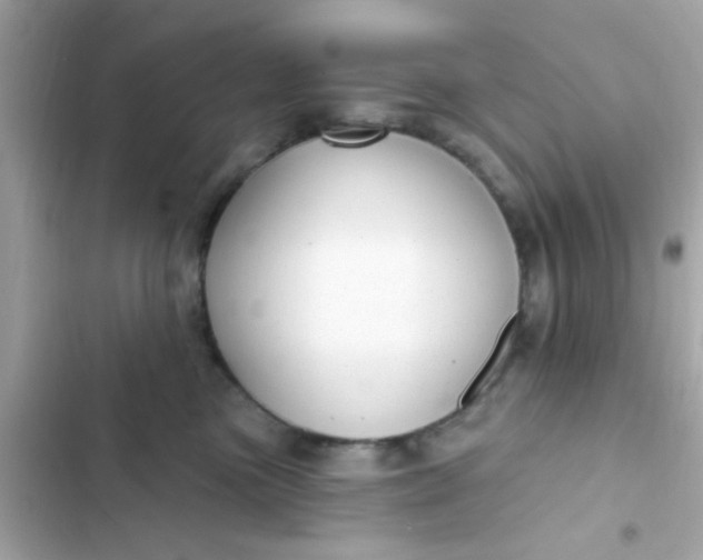 X0000102410473200808152009